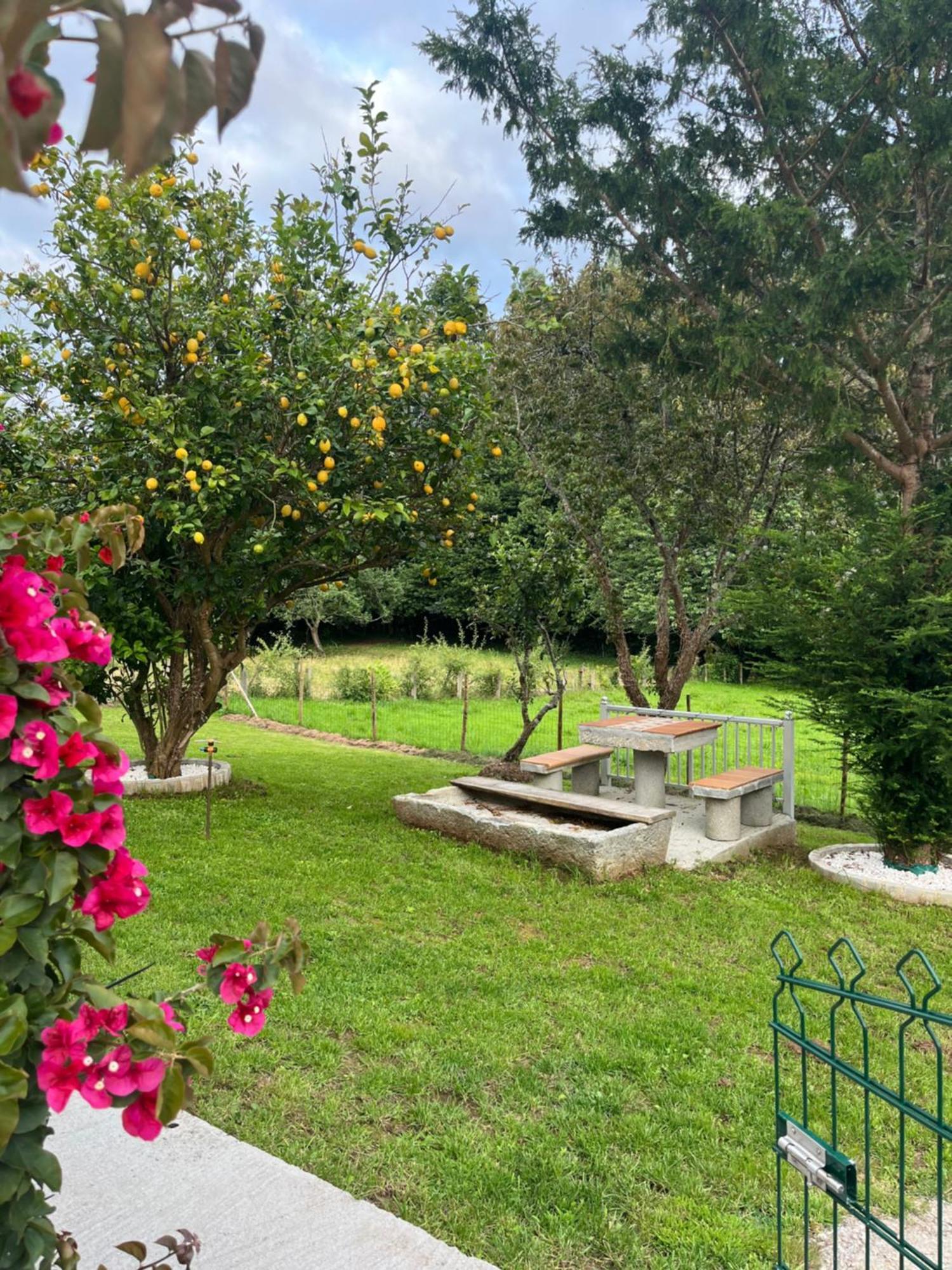 San Martín Casa Marinaヴィラ エクステリア 写真